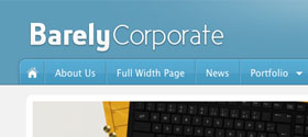 Sample Portfolio Item